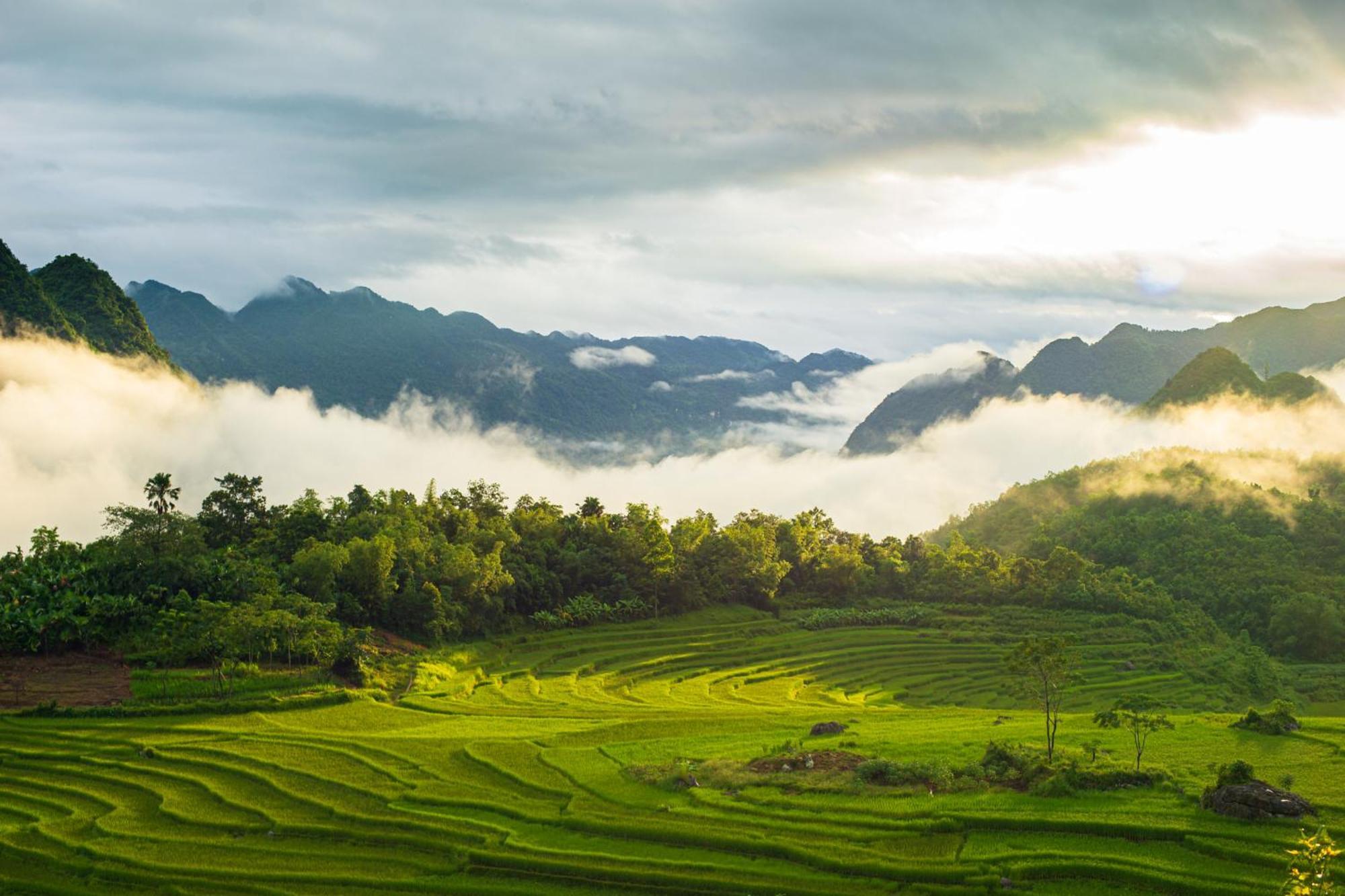 Oh Pu Luong Homestay Huong Ba Thuoc Εξωτερικό φωτογραφία